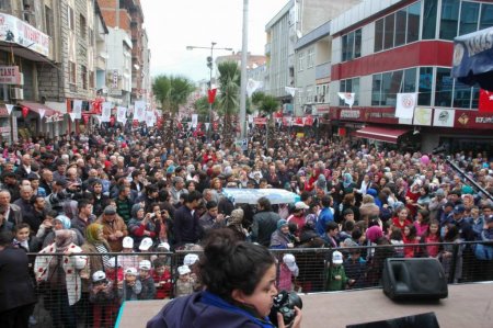 Hamsi Festivali'nde 15 ton hamsi tüketildi