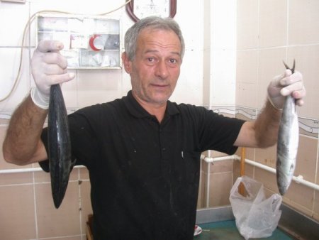 Hamsi müdavimlerine kötü haber: 'Bu sene palamut bol, ucuz hamsi hayal'