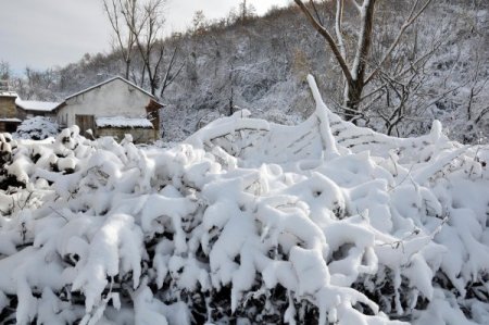 Hamzabeyli’de kar kalınlığı 15 santimetreye ulaştı
