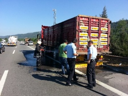 Hareket halindeki TIR'ın dorse lastikleri alev aldı