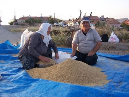 Hasadı Bitiren Çiftçi, Kışlık Erzak Hazırlığına Başladı