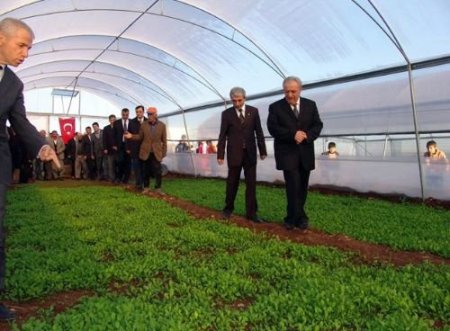 Hasancık Beldesinde Çiftçilere Yaptırılan Seralar Açıldı