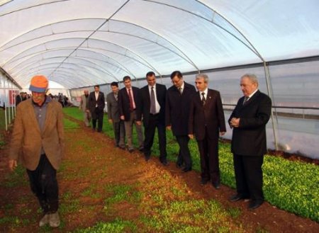 Hasancık Beldesinde Çiftçilere Yaptırılan Seralar Açıldı