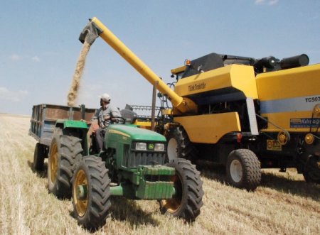 Hasat Mevsimi Başladı: Ambarlar Doluyor, Çiftçinin Yüzü Gülüyor