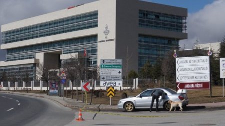 Haşim Kılıç kaldırılmasını istedi, şüpheli aracı hassas burun 'Nort' inceledi