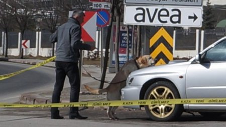 Haşim Kılıç kaldırılmasını istedi, şüpheli aracı hassas burun 'Nort' inceledi