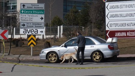 Haşim Kılıç kaldırılmasını istedi, şüpheli aracı hassas burun 'Nort' inceledi