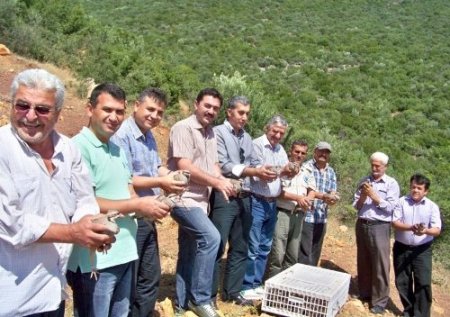 Hassa’da 500 kınalı keklik doğaya salındı