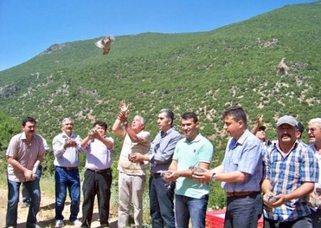 Hassa’da 500 kınalı keklik doğaya salındı