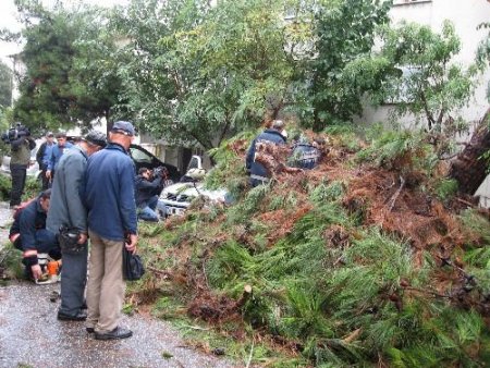 Hastane Bahçesindeki Ağaç Otomobilin Üzerine Devrildi