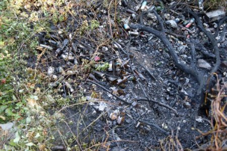 Hastane Önünde Çıkan Yangın Korkuttu