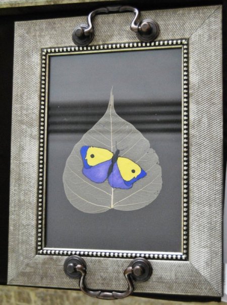 Hastanede hat sergisi