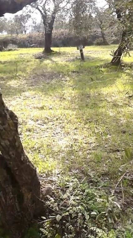 Hatay sınırında toprağa saplı bir mühimmat daha bulundu (Özel)