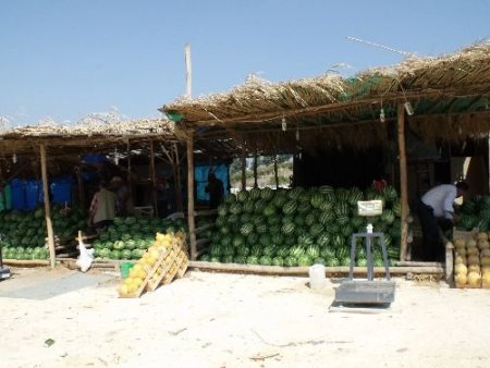 Hatay'da Günde 100 Ton Karpuz Satılıyor