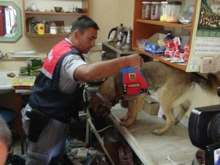 Hatay’da kaçakçılara şafak operasyonu