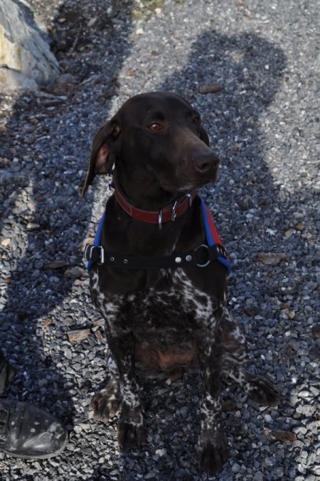 Hatay’da Kaleşnikof Piyade Tüfeği Bulundu