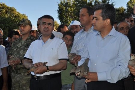 Hatay'da Kene İle Mücadele Edecek Bin Keklik Doğaya Bırakıldı