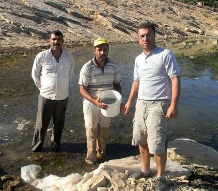 Hatay’daki 5 gölete 70 bin sazan yavrusu bırakıldı