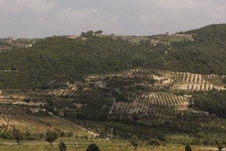 Hatay’ın Suriye Sınırında Hareketlilik Sürüyor