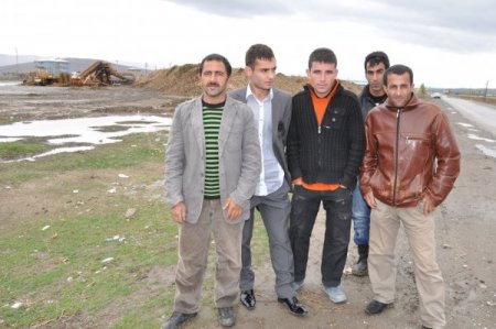 Hava şartlarının iyi gitmesi Muşlu pancar üreticisini sevindirdi