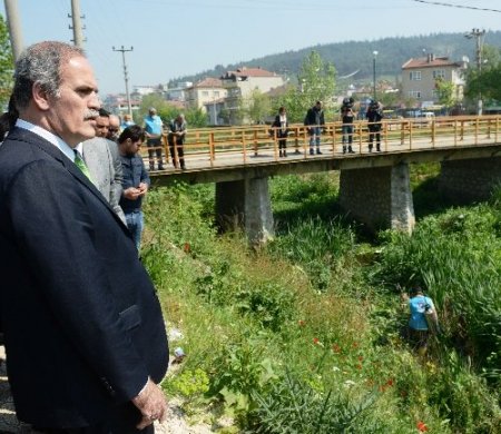 Havalar ısındı, sinekle mücadele başladı