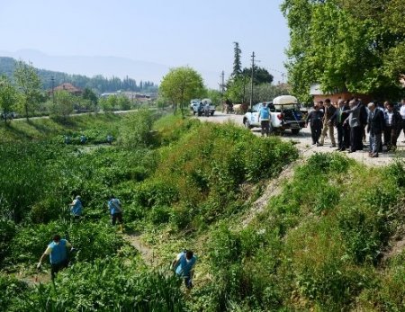 Havalar ısındı, sinekle mücadele başladı