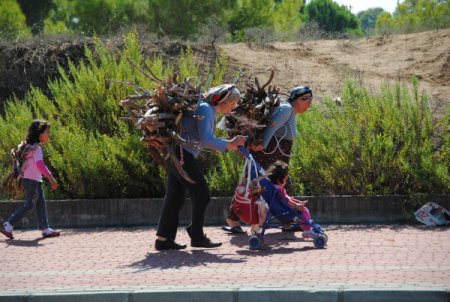 Havalar serinledi, Antalya'da 3 kuşak bir arada odun taşıyor