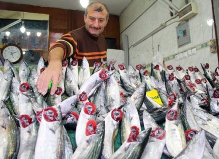 Havalar sıcak gidince palamut bollaştı