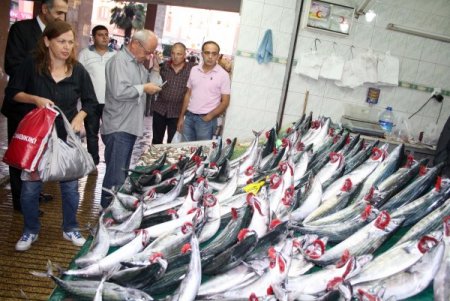 Havalar sıcak gidince palamut bollaştı