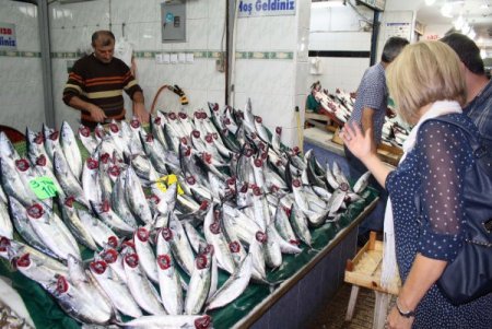 Havalar sıcak gidince palamut bollaştı