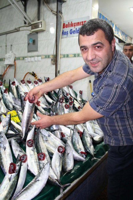 Havalar sıcak gidince palamut bollaştı