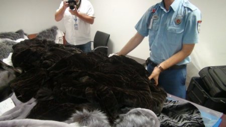 Havalimanında 500 Bin Liralık Kürk Ele Geçirildi