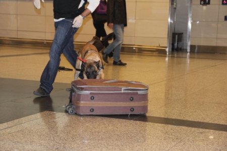 Havalimanında milyonluk uyuşturucu operasyonu