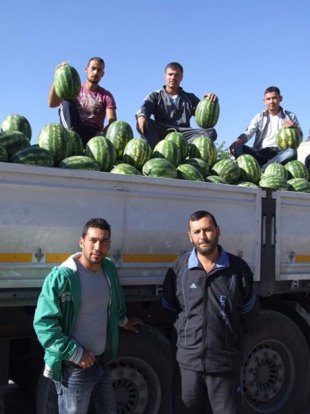 Havanın Isınmasıyla Karpuz Satışları Arttı