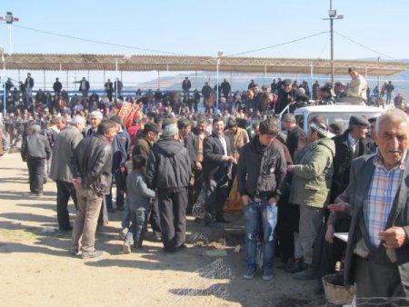 Havran’da Develer Güreş Sahasını Savaş Alanına Çevirdi