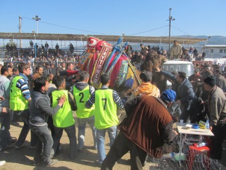 Havran’da Develer Güreş Sahasını Savaş Alanına Çevirdi