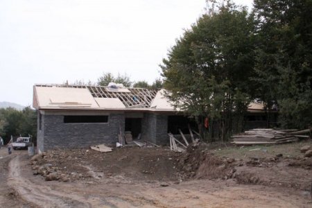 HAYTAP Temsilcisi Turan: Sahipsiz hayvanlar sokakta yaşamaya devam edecek