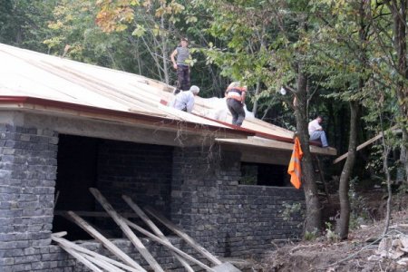 HAYTAP Temsilcisi Turan: Sahipsiz hayvanlar sokakta yaşamaya devam edecek