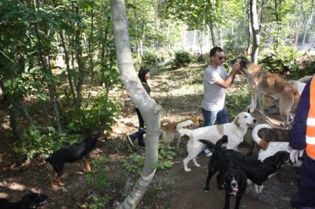 HAYTAP üyeleri, Samsun Büyükşehir Belediyesi'nin hayvan barınağını gezdi