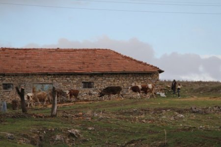 Hayvan Atıkları Beldenin Suyuna Karıştı İddiası