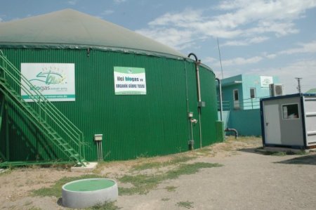 Hayvan gübresinden 150 eve yetecek elektrik üretiyorlar