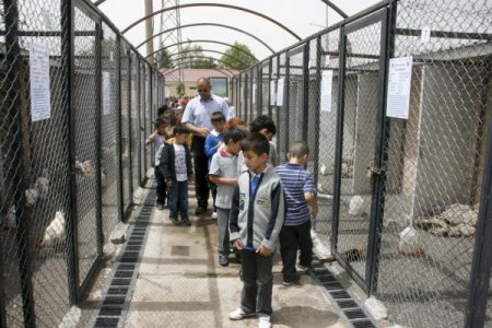 Hayvan Parkına Çocuklar İlgi Gösteriyor