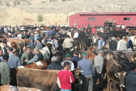 Hayvan pazarı arife günü canlandı