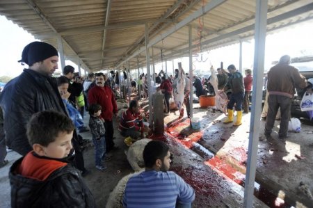 Hayvan pazarında kesim kuyruğu