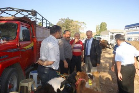 Hayvan pazarlarına bayram öncesi denetimi