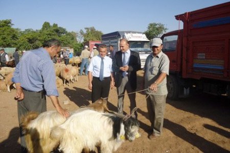Hayvan pazarlarına bayram öncesi denetimi
