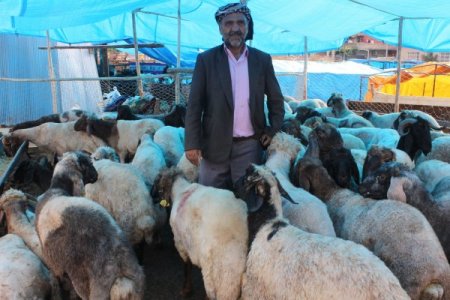 Hayvan sahipleri, kurbanlık satışlarından memnun değil