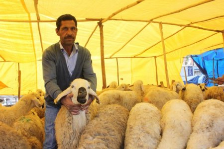 Hayvan sahipleri, kurbanlık satışlarından memnun değil