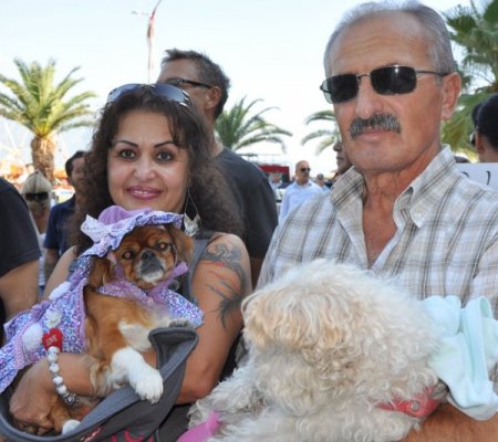 Hayvan severler, kedi, köpekle yürüyüp düdük çaldı