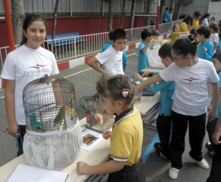 Hayvan sevgisi okulu hayvanat bahçesine çevirdi